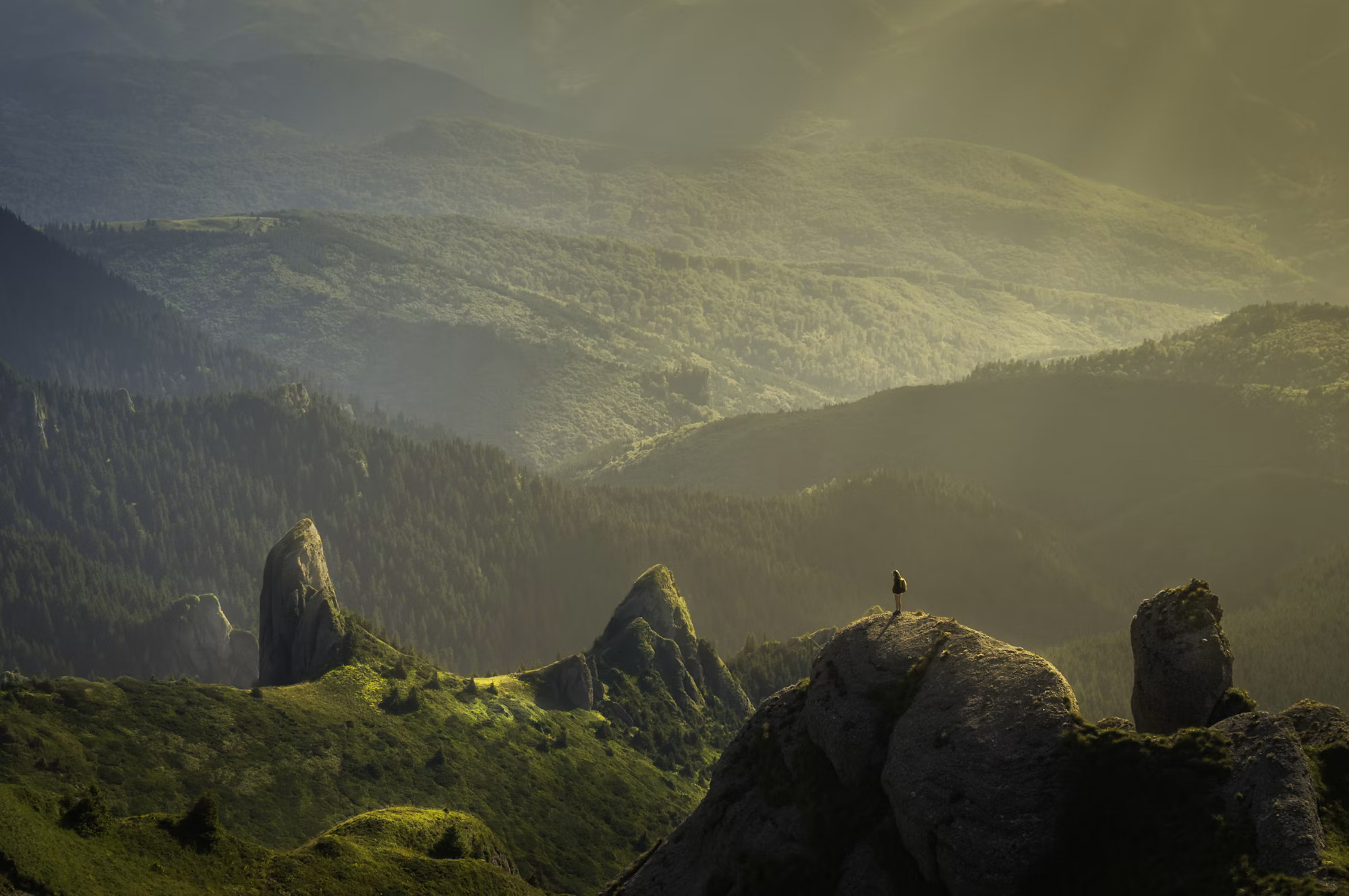 New Zealand landscape — banner